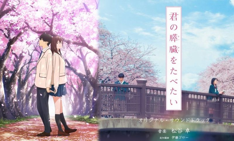 pancreas anime film pancreas anime film
